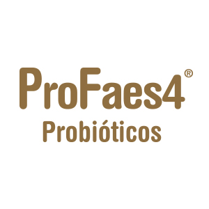 PROFAES4